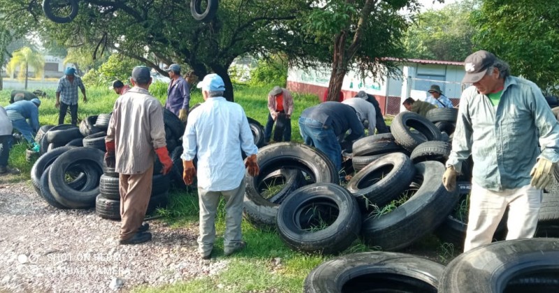 Con el &quot;Llantatón&quot;, van por el retiro de 50 toneladas de neumáticos en Yautepec