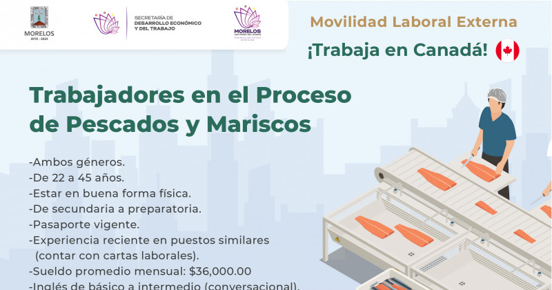 Invita SNE Morelos a participar en oportunidades de movilidad laboral para el extranjero