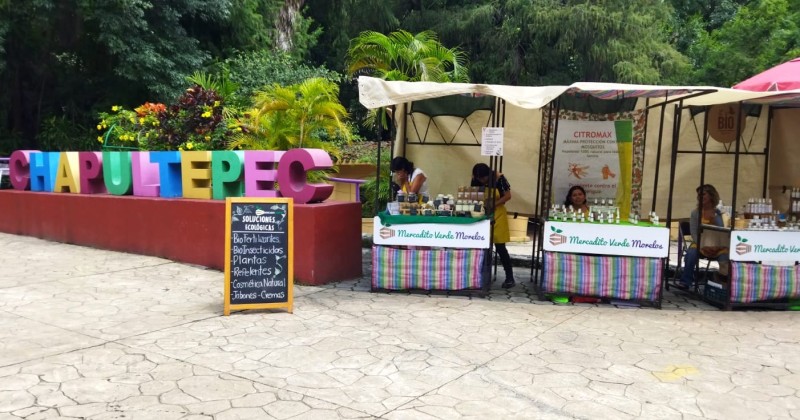 Apoyan ciudadanos comercio local, justo y solidario del Mercadito Verde Morelos