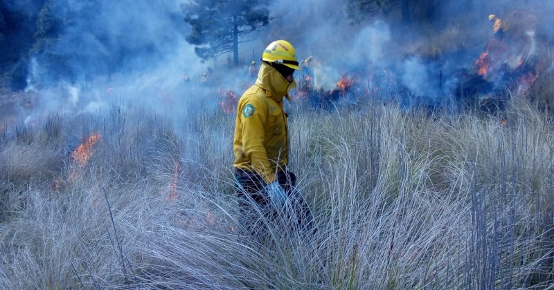 Continúan acciones para prevenir incendios forestales: SDS