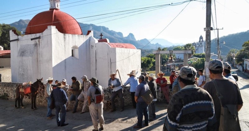 Refuerza Sedagro campaña contra la brucelosis bovina en Tepoztlán