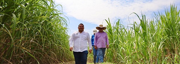 Destaca Morelos por su calidad en la agricultura