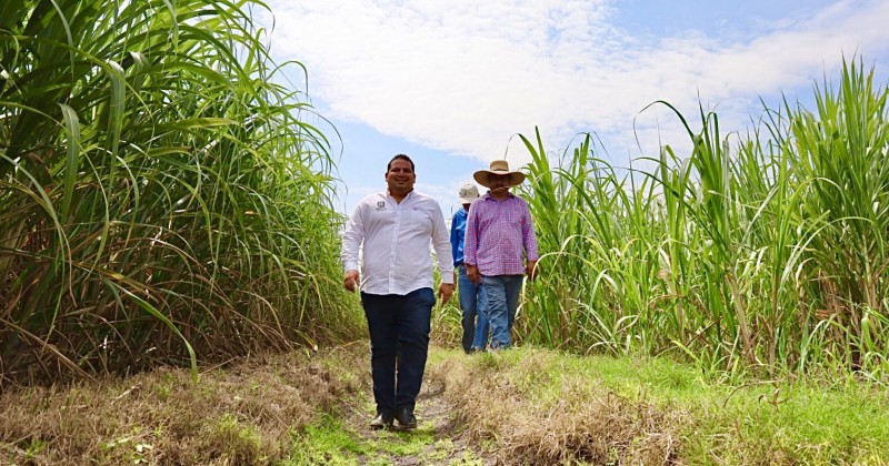 Destaca Morelos por su calidad en la agricultura