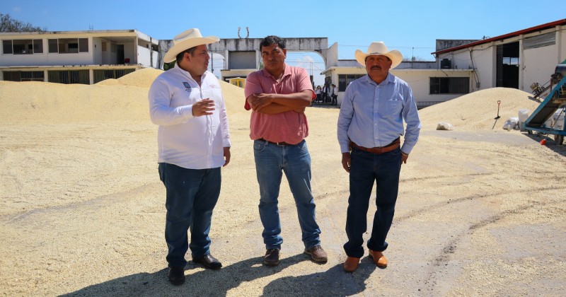Se consolida comercialización de granos básicos en Morelos: Sedagro