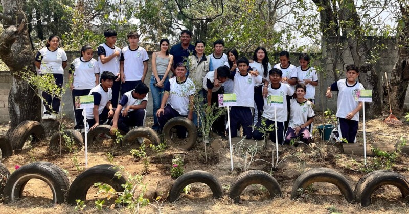 Suman 40 jardines para polinizadores en Morelos