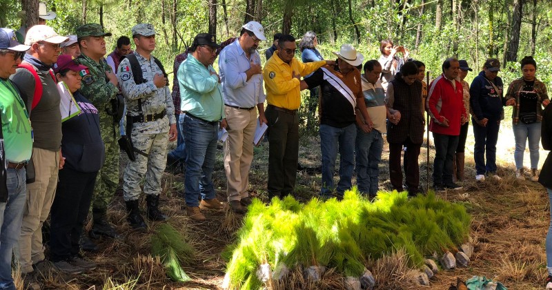 Beneficia Desarrollo Sustentable con más de 23 mil árboles al municipio de Huitzilac