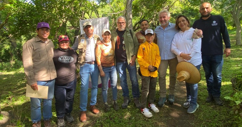 Reforestan SDS e iniciativa privada paraje del Parque Nacional “El Tepozteco”