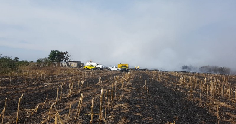 Apoya Gobierno de Morelos a sofocar incendio en Axochiapan