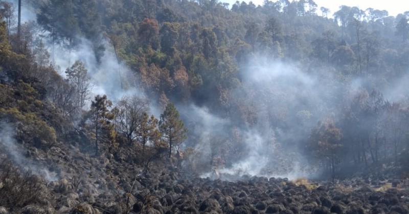 Comunicado de Prensa incendios forestales