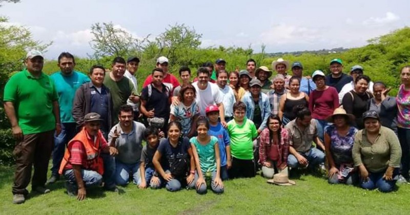 Siembran 600 árboles en el Cerro de la Tortuga de Zacatepec