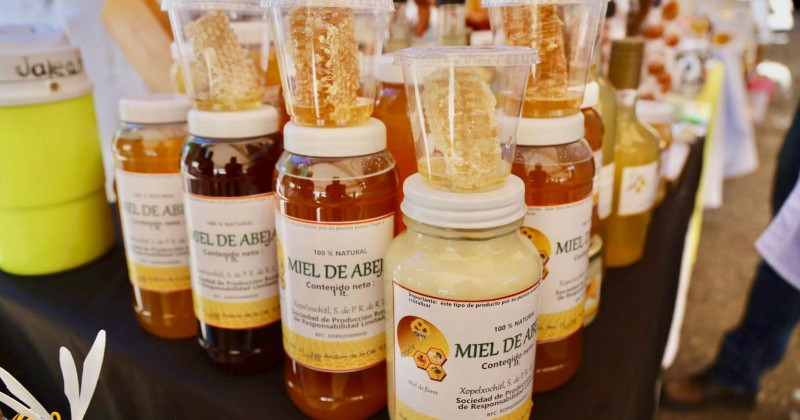 Se desarrolla con éxito la segunda Feria Regional de la Miel en Tepoztlán
