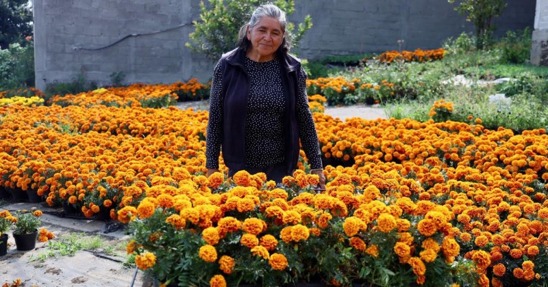 Invita Sedagro a visitar viveros de Tetela del Monte para adquirir flores de “Día de Muertos”