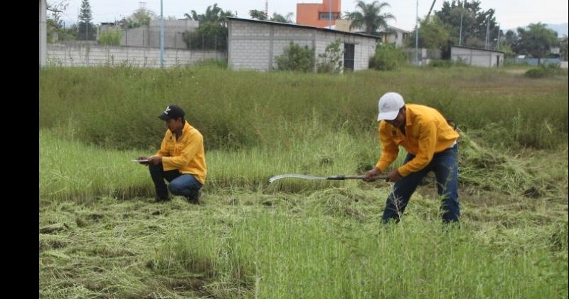 Realizan trabajos preventivos para evitar incendios en el Ejido de Acapantzingo