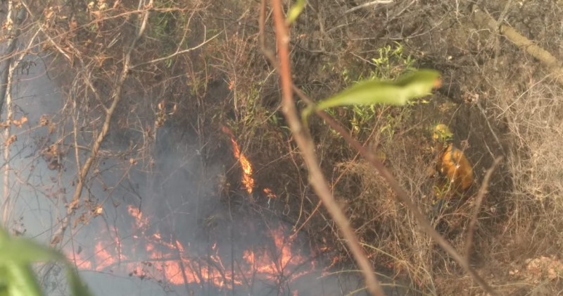 Comunicado de prensa incendio forestal Barranca del tecolote