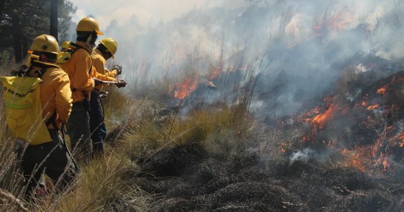 Reconoce SDS a los “Zacatuches”, en el marco del Día Nacional del Combatiente de Incendios Forestales