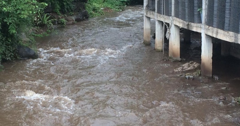 Se mantiene monitoreo de los ríos que atraviesan Morelos