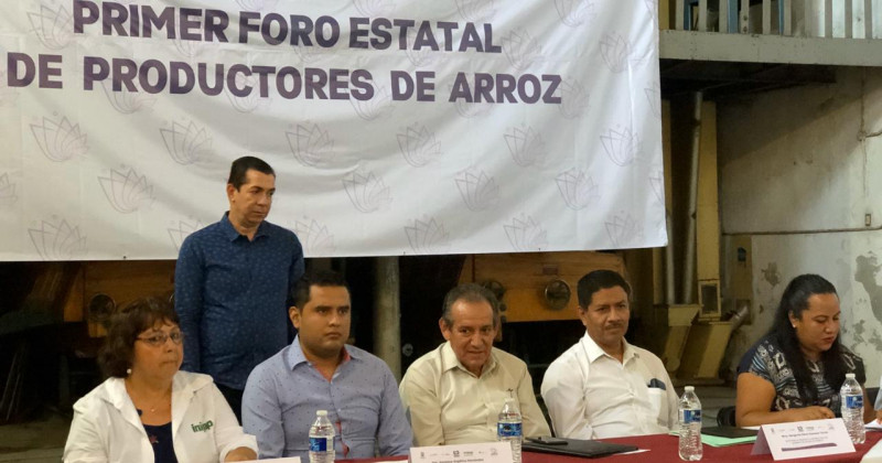 Impulsa Sedagro análisis integral del cultivo de arroz en Morelos