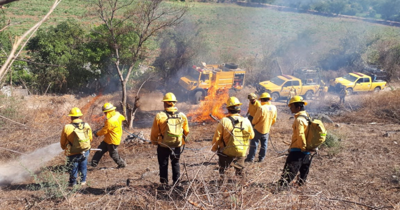 Realizan combatientes forestales trabajos preventivos de incendios forestales