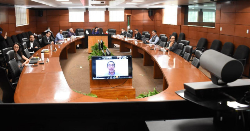 Participa Cantú Cuevas en sesión virtual de la segunda reunión ordinaria del Consejo Nacional de Salud