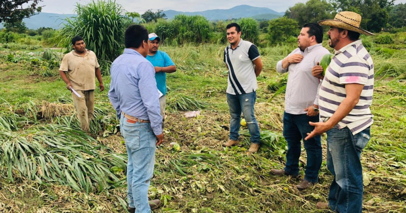 Recorre Sedagro cultivos afectados por las lluvias en Coatlán del Río