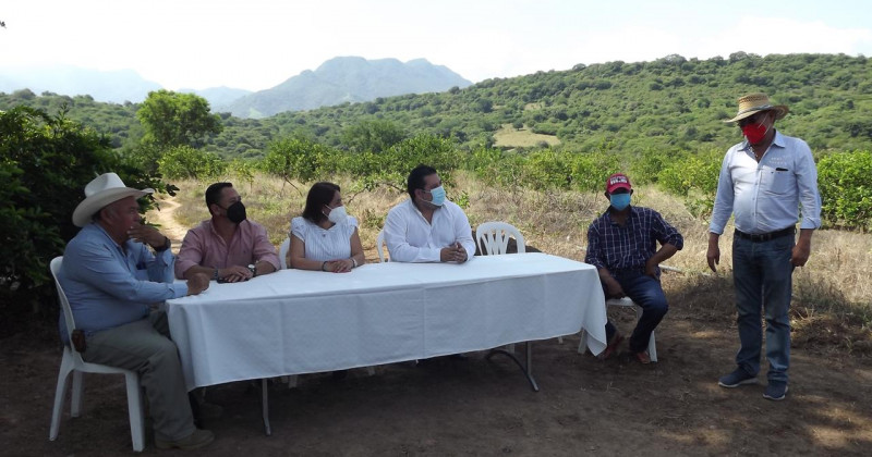 Atiende Sedagro necesidades de productores de limón del Sur Poniente de Morelos