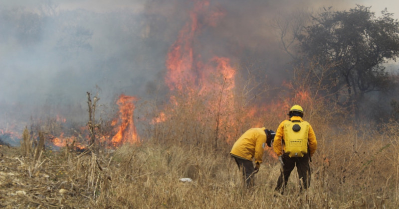 Realiza SDS trabajos preventivos en Yautepec para prevenir incendios forestales 
