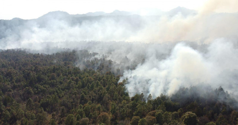 Combaten SDS y Conafor incendio forestal en Huitzilac