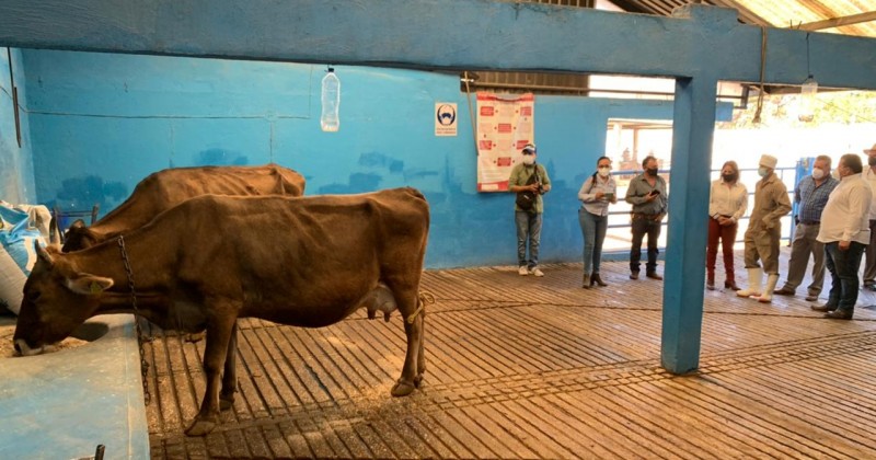Invita Sedagro a productores ganaderos al curso teórico “Alternativas de control integral de parásitos del ganado”