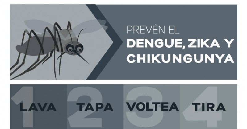Llama SSM a no bajar la guardia contra dengue, zika y chikungunya