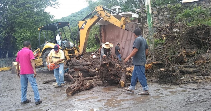 Participa Sedagro en labores de limpieza y desazone de camino