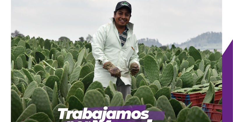 Mantiene Gobierno de Cuauhtémoc Blanco trabajo cercano con agricultores morelenses