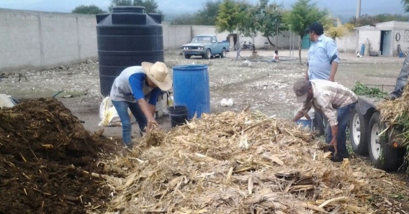 Invita Sedagro a participar en el taller “Composta en Casa”, aprovechamiento de residuos orgánicos