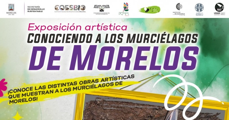 Invitan a inauguración de la exposición “Conociendo a los murciélagos de Morelos”
