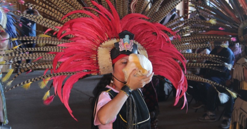 Realiza Sedeso conversatorio como parte de la semana de la cultura indígena