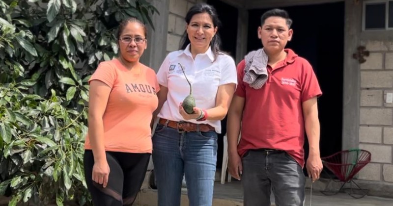 Supervisa Cecilia Rodríguez la construcción de 34 fincas para la certificación del aguacate hass en Ocuituco