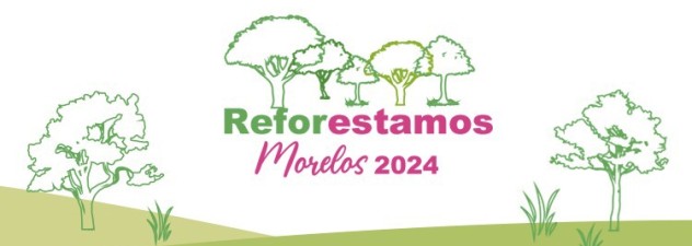 Alista Secretaría de Desarrollo Sustentable campaña de reforestación 2024
