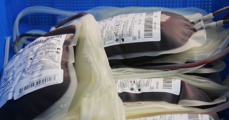 Destaca SSM altruismo en el Día Mundial del Donante de Sangre