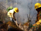 Comunicado de Prensa: Incendio forestal en el paraje &quot;Cruz del niño&quot; en Huitzilac