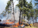 Continúa combate a incendios forestales en Morelos