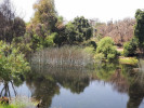 Concluye saneamiento de la Laguna de Hueyapan del parque estatal “El Texcal”