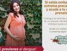 Pide SSM a embarazas intensificar medidas preventivas contra el mosquito del dengue