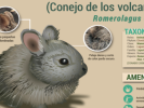 Invitan a visitar la Expo de Infografías “Especies emblemáticas de Morelos”