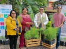 Apoya SDS y Conafor plantación forestal comercial