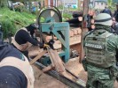 Mantienen autoridades de la Mesa de Coordinación Estatal para la Construcción de la Paz acciones para combatir la tala clandestina en Morelos