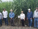 Apoya Gobierno de Cuauhtémoc Blanco al campo cañero de Morelos