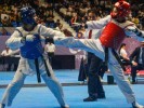 Clasifican taekwondoínes morelenses a Nacionales Conade 2024