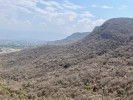 Continúa SDS monitoreo de fauna silvestre en Sierra Monte Negro