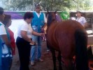 Ayuda DIF Morelos a adultos mayores con sesiones de equinoterapia  