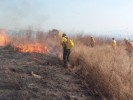 Continúan trabajos preventivos de incendios forestales