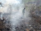 Atienden brigadas doce incendios forestales en los últimos días
